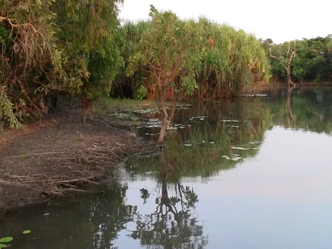 REMOTE AUSTRALIAN RIVER Stock Footage 100413725
