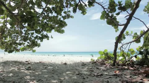 Remote beach Stock Footage 12366311