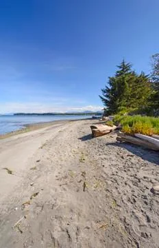 Remote beach on an ocean coast 스톡 사진