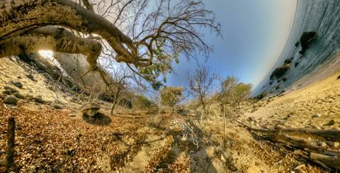 Remote beach. Stock Photos
