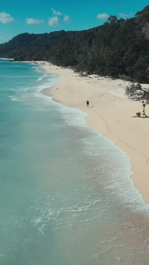 Remote beach scene with surf and forested headlands depicted Stock-Footage 336928361