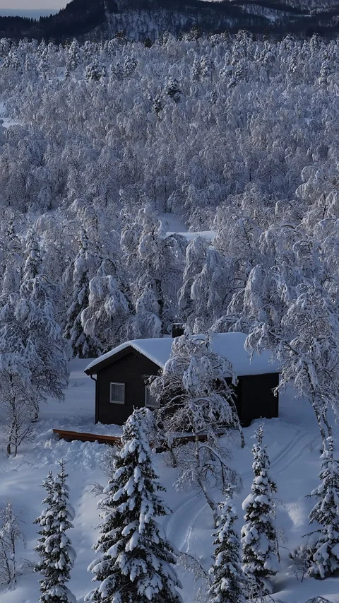 Remote cabin dwelling in a snowy forest landscape, Norway 스톡 동영상 345968595