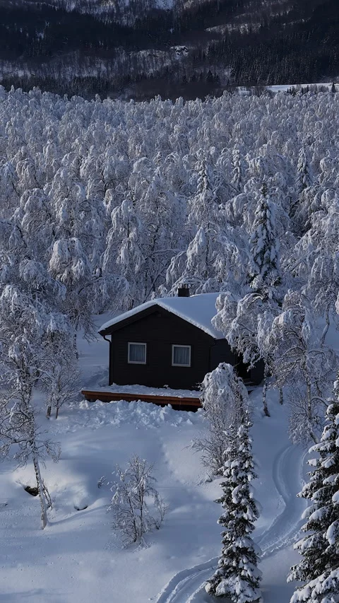 Remote cabin immersed in snowy winter wonderland, Norway 動画素材 345968662