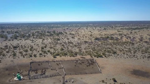 Remote cattle post in the Kalahari with paths leading to livestock in pen Video stock 80597152