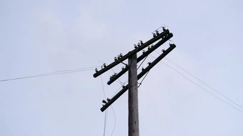 Remote communities. Power electric pole survived after the storm. Stock Footage 167471273