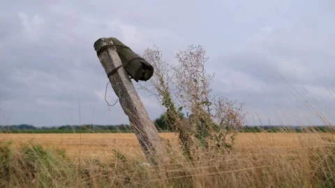 Remote communities. Power electric pole survived after the storm. Stock Footage 168496486