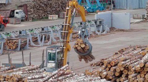 Remote control of Conveyors logs sorting machine 스톡 동영상 63457920