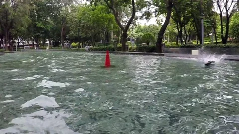 Remote control model boat in slow motion turning Stock-Footage 94013056