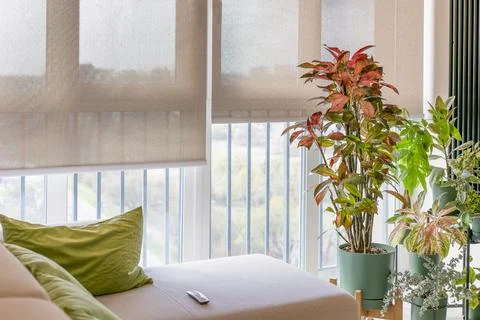 Remote control panel for blinds. Stock Photos