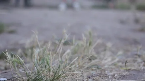 Remote control toy car Stock Footage 77050542