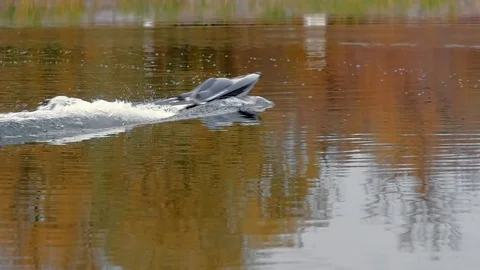 Remote controled speedboat on the river Stock Footage 97862930