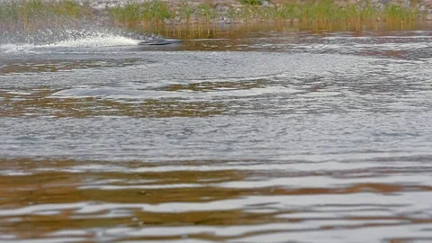 Remote controled speedboat on the river Stock Footage 97862944