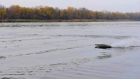 Remote controled speedboat on the river Stock Footage 97862975