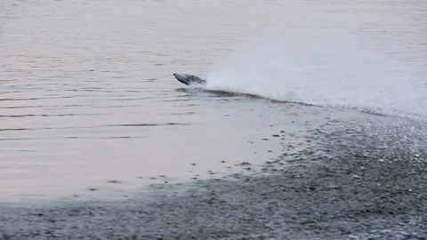 Remote controled speedboat on the river Stock Footage 97862998
