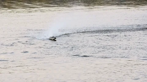 Remote controled speedboat on the river Stock Footage 97863004