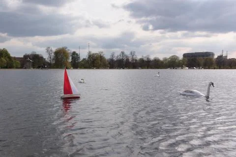 Remote controlled boat chasing a mute swan Stock Photos
