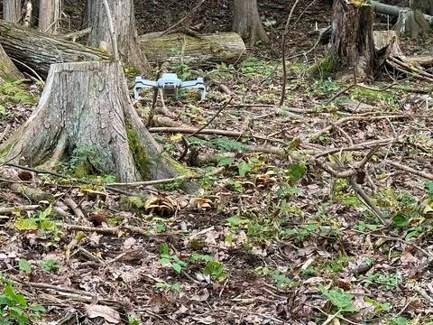 Remote Controlled Drone Hovering in a Dense Mountain Forest in Japan Stock Photos