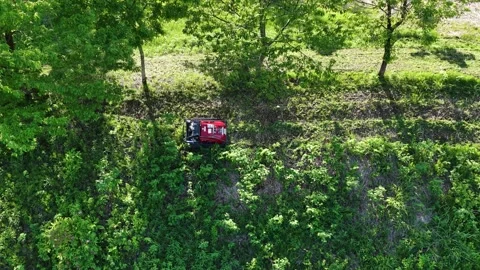 Remote Controlled Mower Operating Beside Trees on Slope Stock Footage 336562759