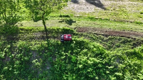 Remote Controlled Mower Working Near Forest Edge in Japan Stock Footage 336562743