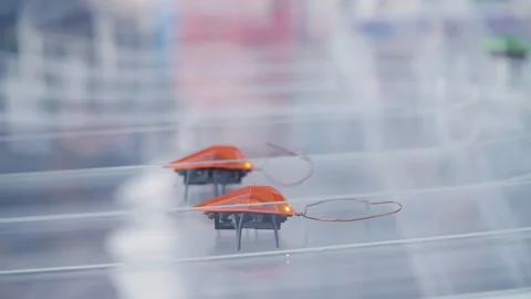 Remote-controlled robotic bug walks through a maze, side view Stock Footage 257515668