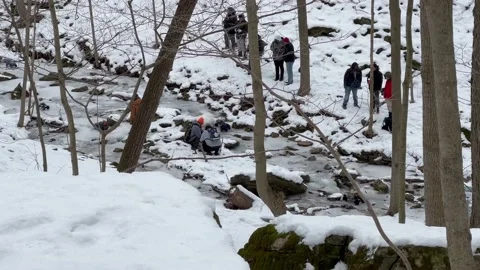 Remote controlled trucks controlled on an ice covered stream in the forest Stock Footage 232329065