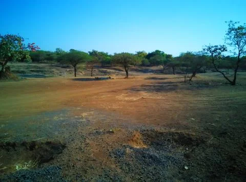 A remote corner of the forest Stock Photos