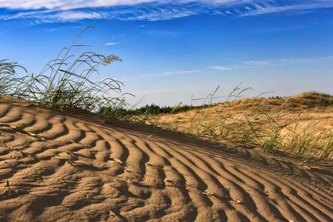 Remote desert landscape with sparse vegetation and white clouds Stock Photos