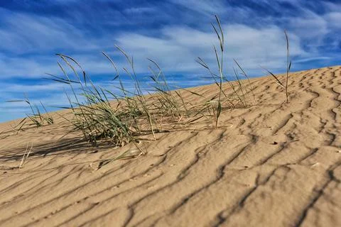 Remote desert landscape with sparse vegetation and white clouds Stock Photos