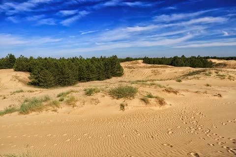 Remote desert landscape with sparse vegetation and white clouds Stock Photos