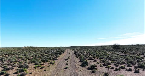 Remote Dirt Track Through the Great Karoo Near Prince Albert, South Africa Stock Footage 341346840