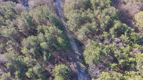 Remote Forest Valley With Small River Stock Footage 328006141