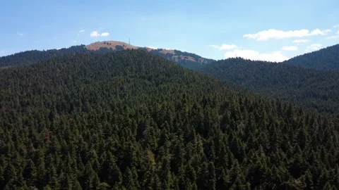 Remote high mountain with fir forest and antenna station on bare rocky summit Stock Footage 326353033