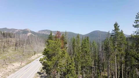 Remote Highway Stock Footage 141466599