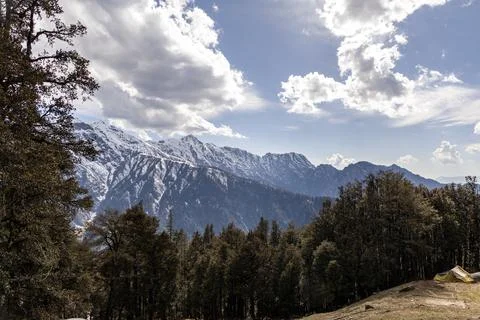 Remote Himalayan Landscape Featuring Thick Forest and Snow Capped Mountain .. Foto stock