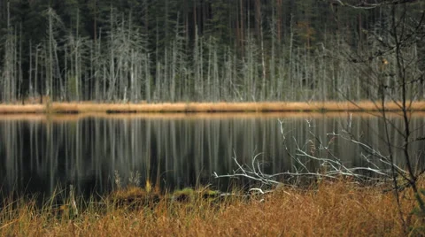 Remote lake in autumn 1 Stock Footage 49575778