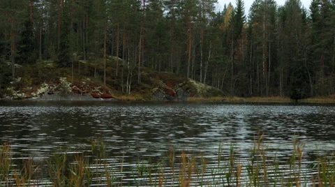 Remote lake in autumn 4 Stock Footage 49602987