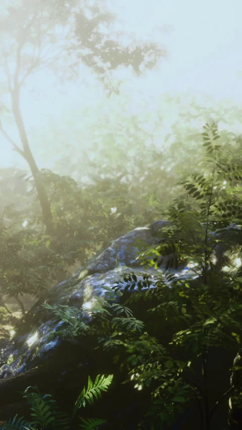 Remote location bathed in subtle diffuse light with moist surroundings Stock Footage 329017840