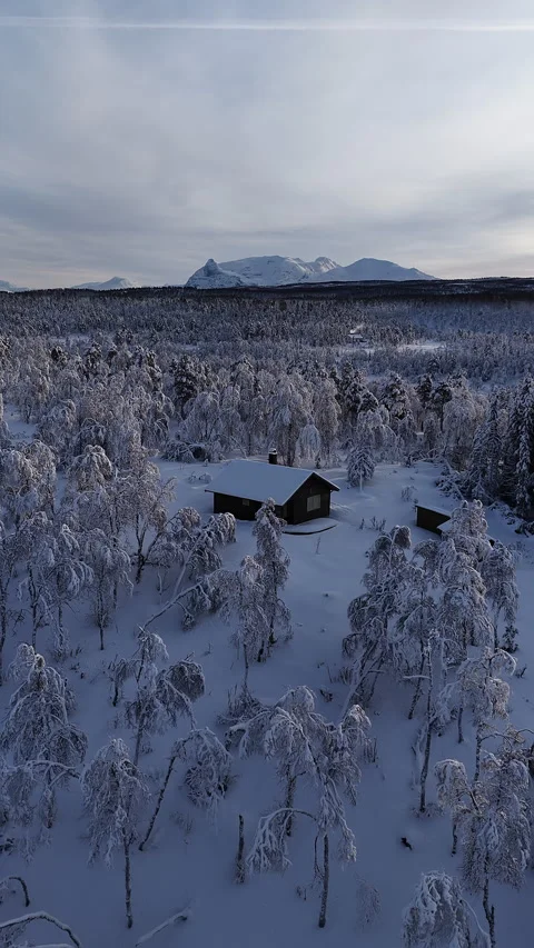 Remote log cabin aerial view in a snowy winter forest, Norway 動画素材 345968835