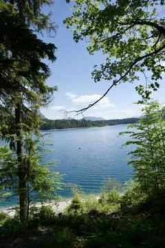Remote Mountain River in Dense Forest Wilderness Foto stock