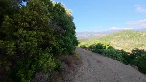 Remote mountain road with heavy vegetation and sunset light in Greece Stock Footage 321892474