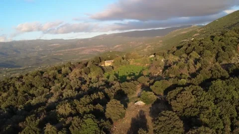 Remote mountain slope with dense forest clearing olive grove and small hut Stock Footage 344096464
