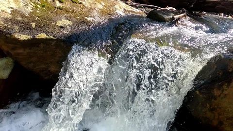 Remote Mountain Stream in the Pennsylvania Wilds Video stock 260099082