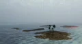Remote Ocean Oasis Animation HD Footage