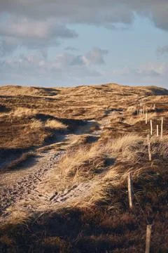 Remote Path in wide dune landscape at Denmarks west coast Stock Photos