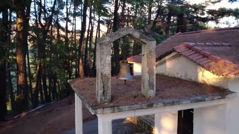 Remote pine forest chapel showing decay and heavy needle buildup at dusk Video stock 325221629
