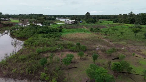 Remote Residential Property surrounded by Amazon Vegetation, Aerial Stock Footage 342293535