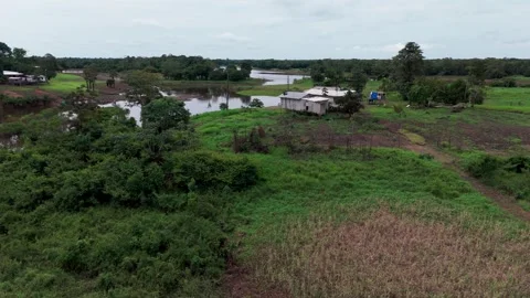 Remote Residential Property surrounded by dense Tropical Rainforests Stock Footage 342294414