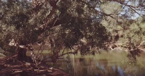 Remote river Stock Footage 152384310