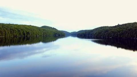 Remote River In Forest Video stock 86023183