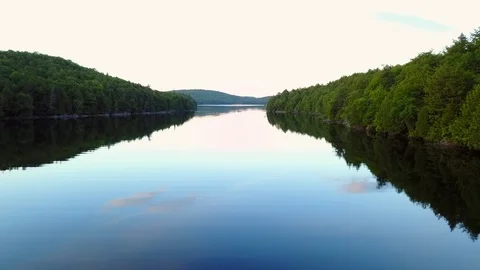 Remote River In Forest Video stock 86023436